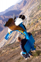 Glenwood Caverns Adventure Park