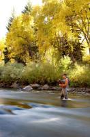 Gore Creek Fly Fisherman